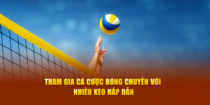 Tham gia cá cược bóng chuyền với nhiều kèo đấu hấp dẫn